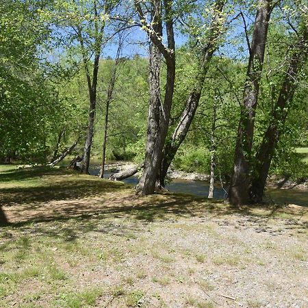 Riverside Trout Cottage Хелен Экстерьер фото